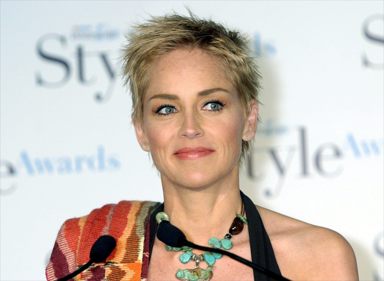 Sharon Stone did not have it easy