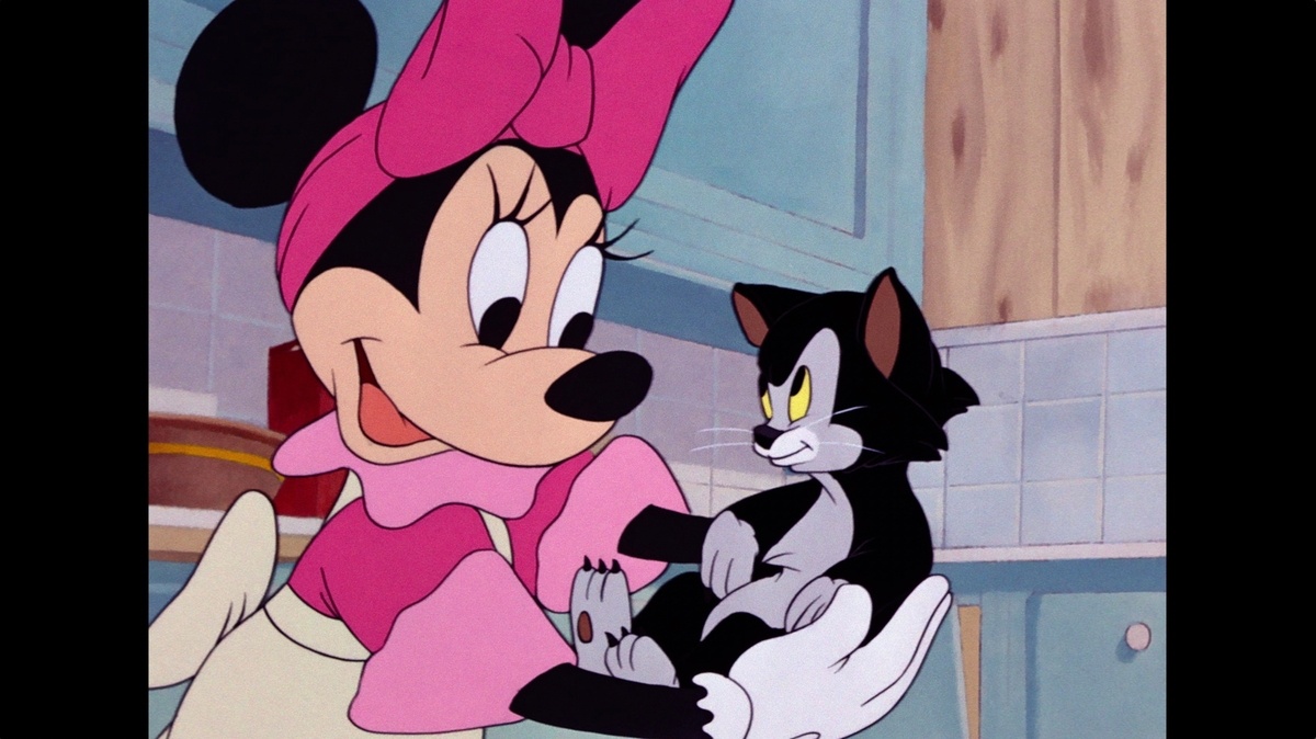 Un equipo de profesionales Un equipo de profesionales