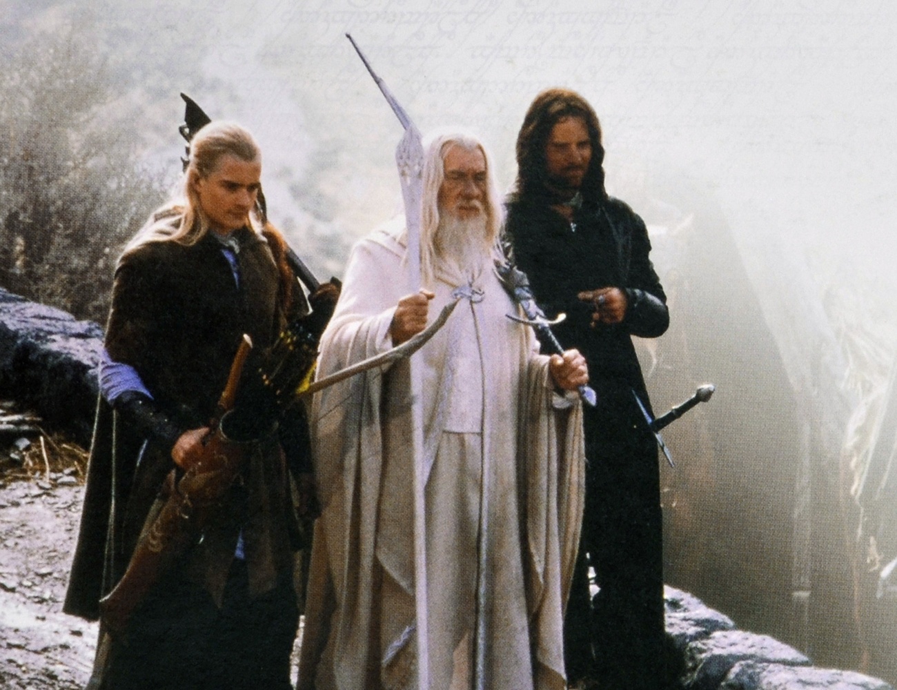 La acogida ha sido muy positiva La acogida ha sido muy positiva