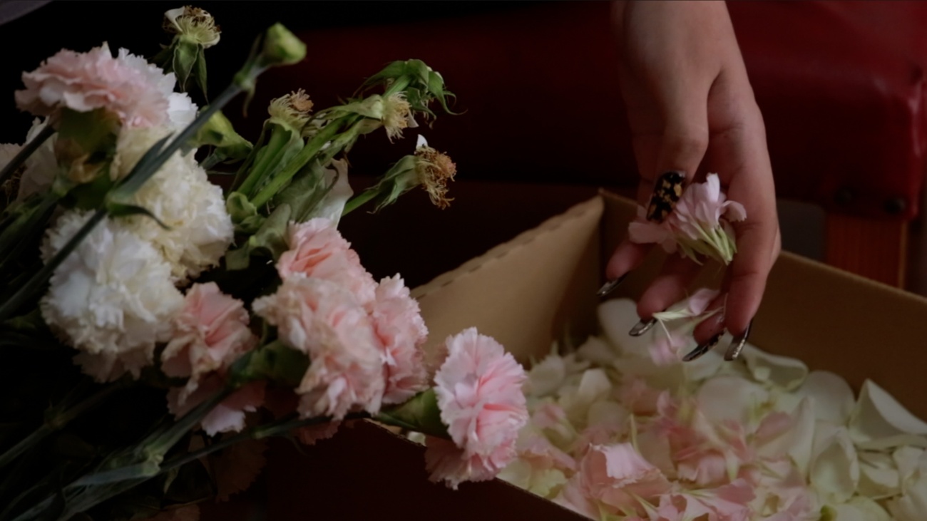 ''¡Dolores guapa!'' ''¡Dolores guapa!''