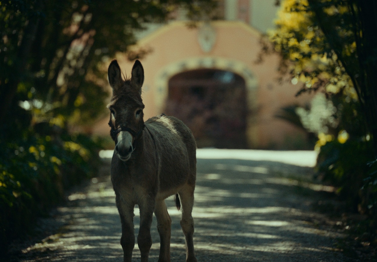 ‘’Eo’’ desde el martes 18 ‘’Eo’’ desde el martes 18