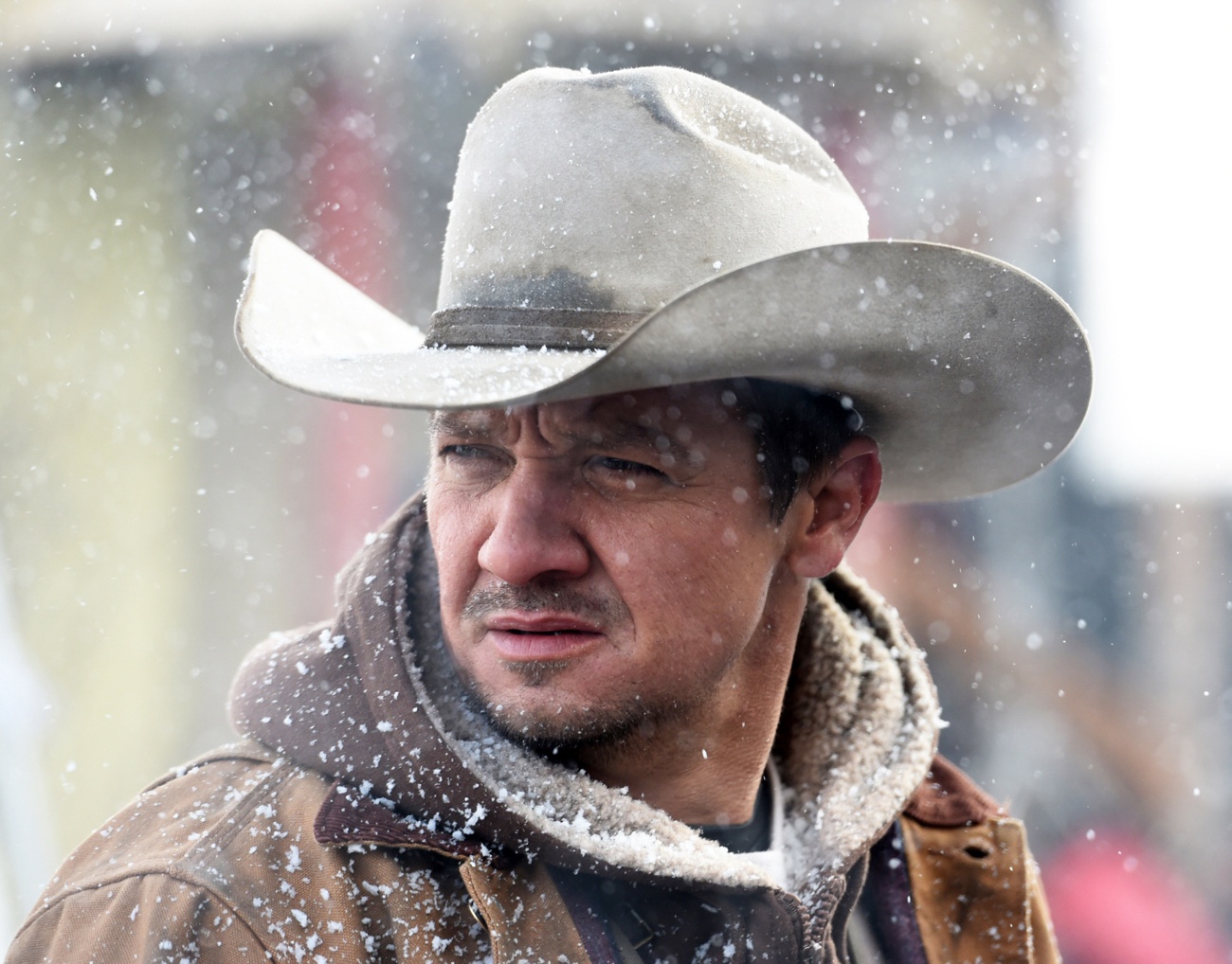 Visión interna de su tratamiento