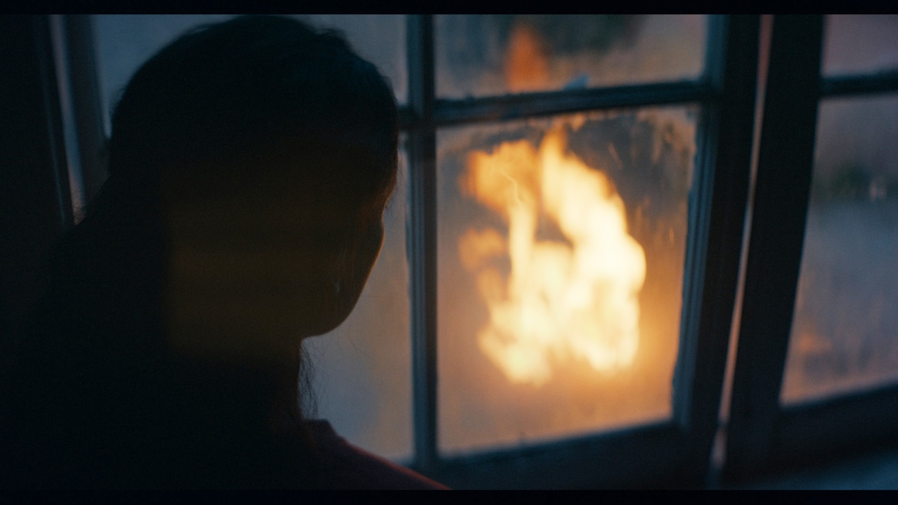 La historia expone la realidad como la han ido descubriendo La historia expone la realidad como la han ido descubriendo