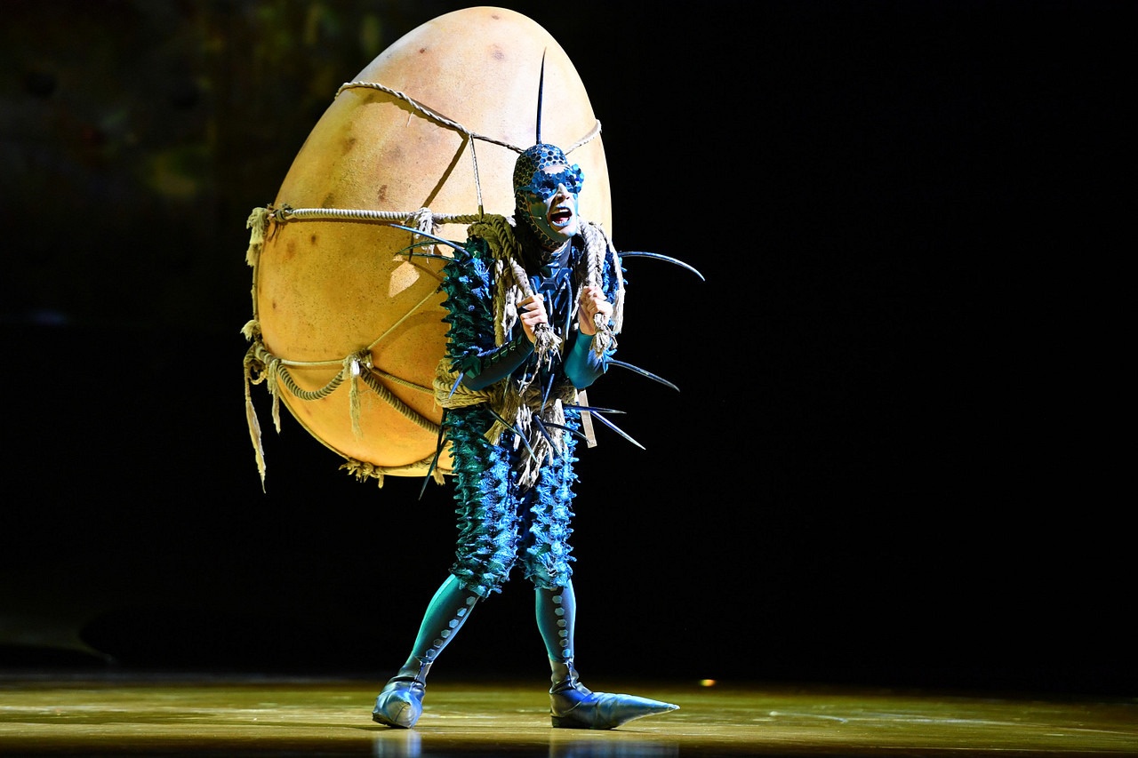 ''OVO'' del Cirque du Soleil llega a Zaragoza ''OVO'' del Cirque du Soleil llega a Zaragoza