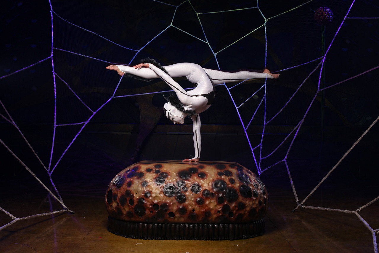 El mundo de lo insectos sigue su curso natural El mundo de lo insectos sigue su curso natural