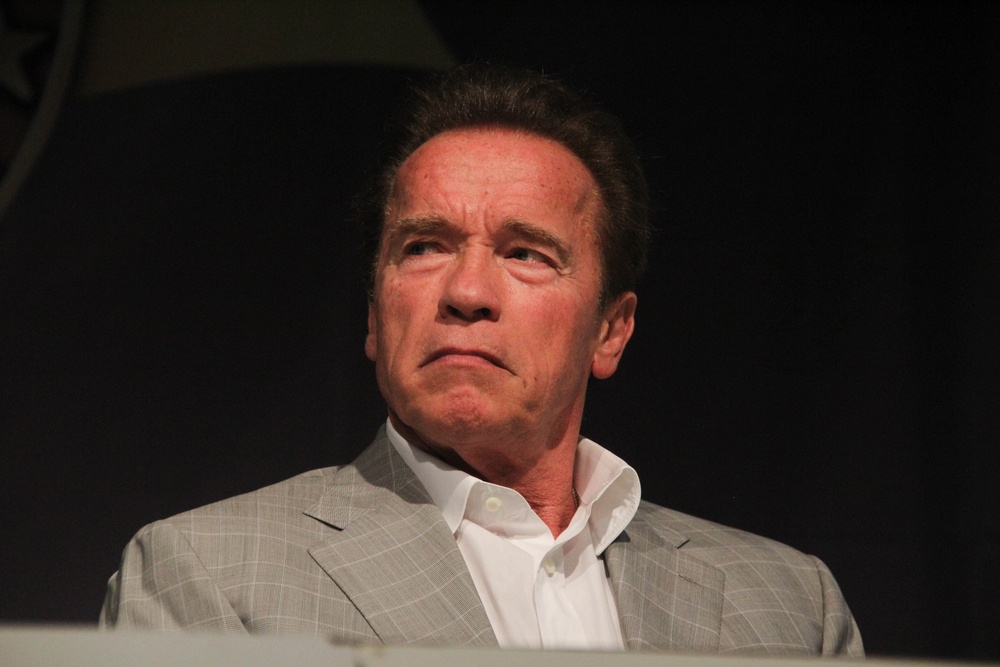 Arnold Schwarzenegger como Mr. Freeze