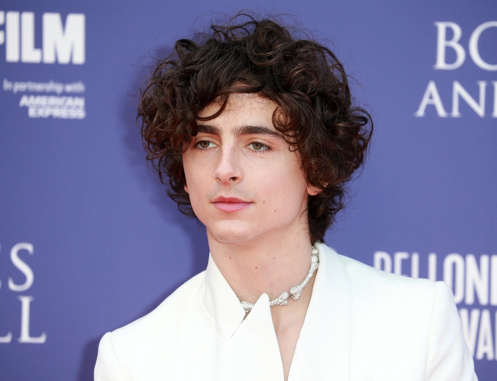 Timothée Chalamet Timothée Chalamet