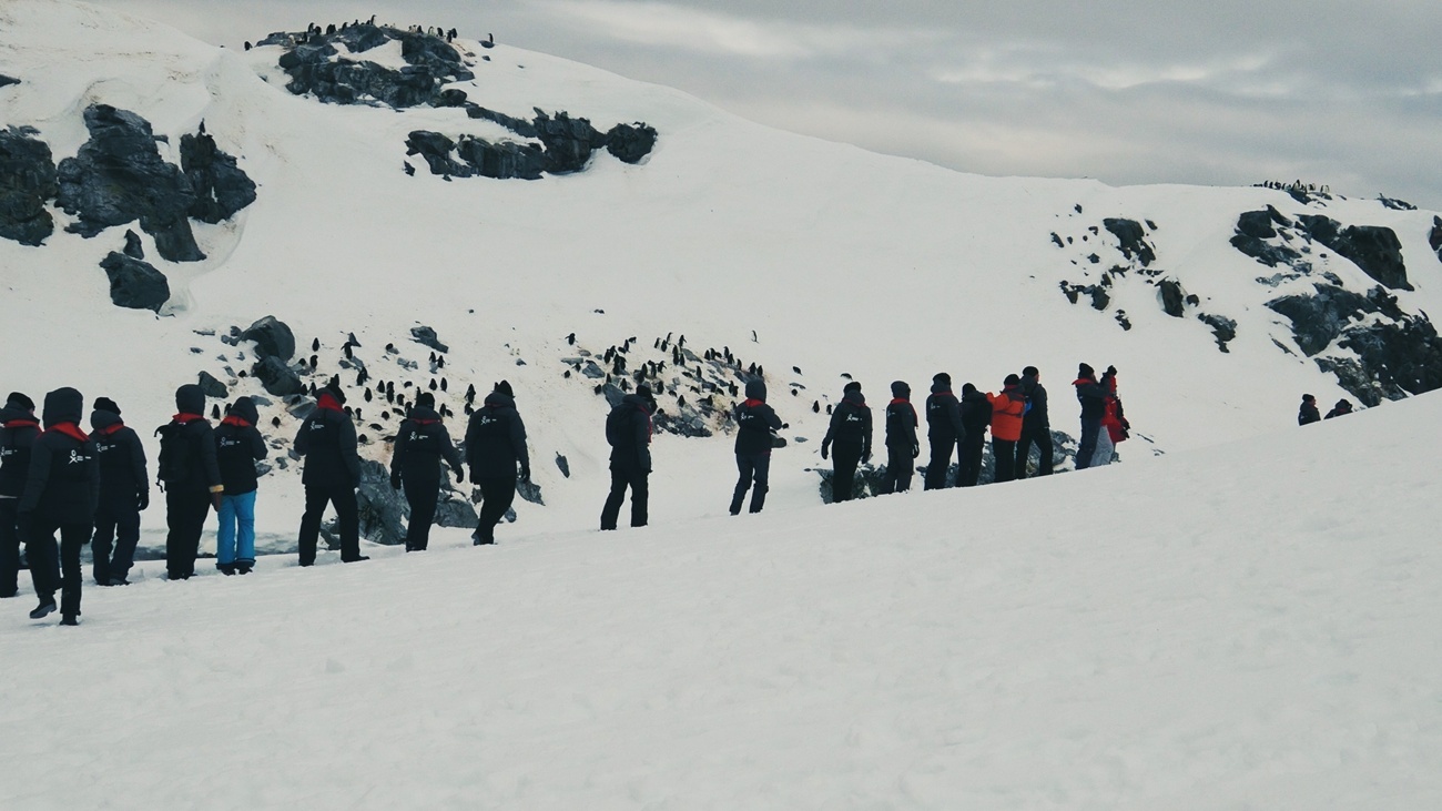 Una iniciativa que aumenta cada día más